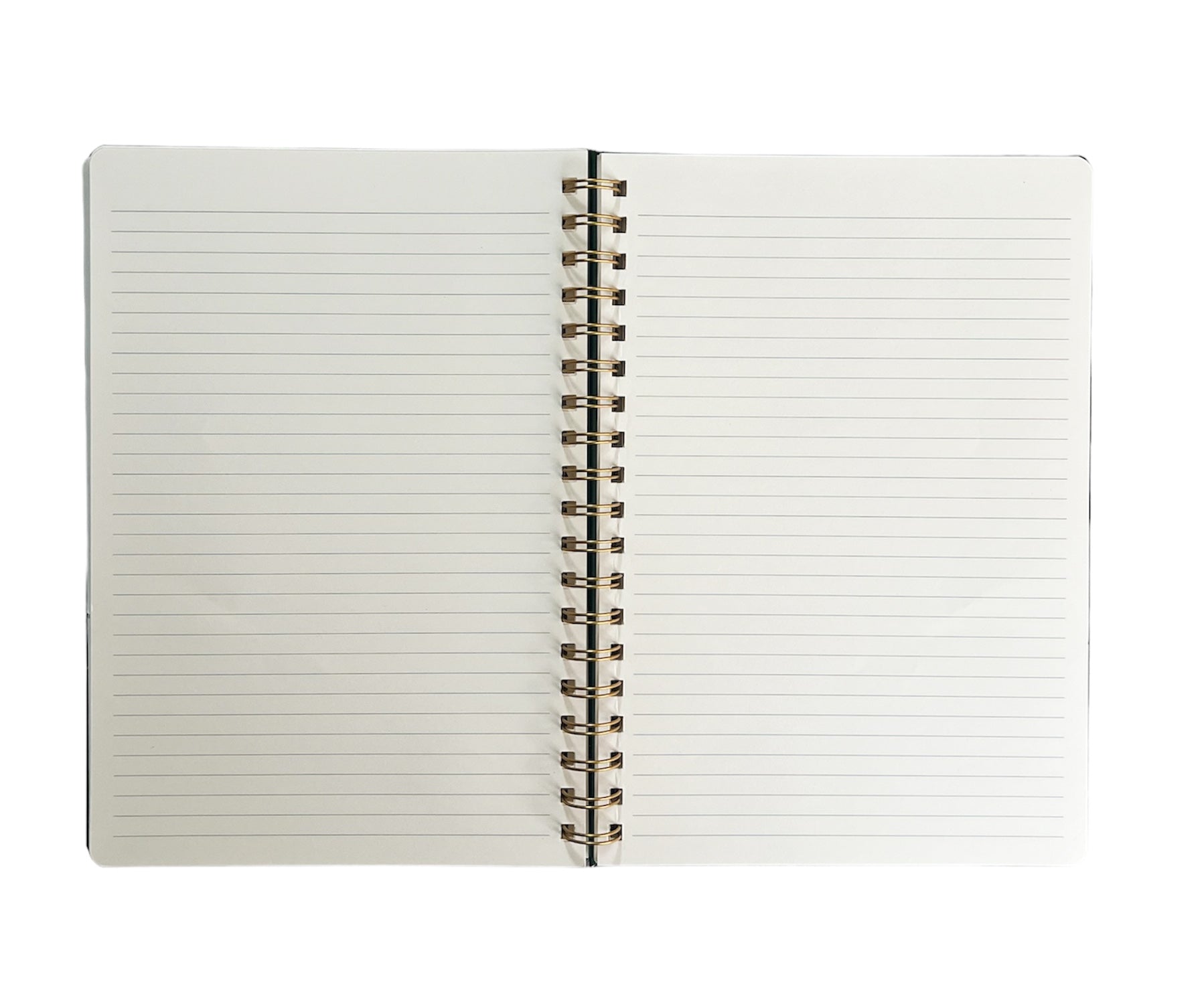 Unapologetically Ambitious Notebook